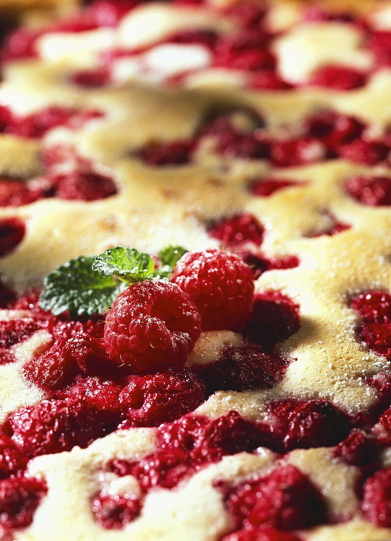 Sweet raspberry pudding