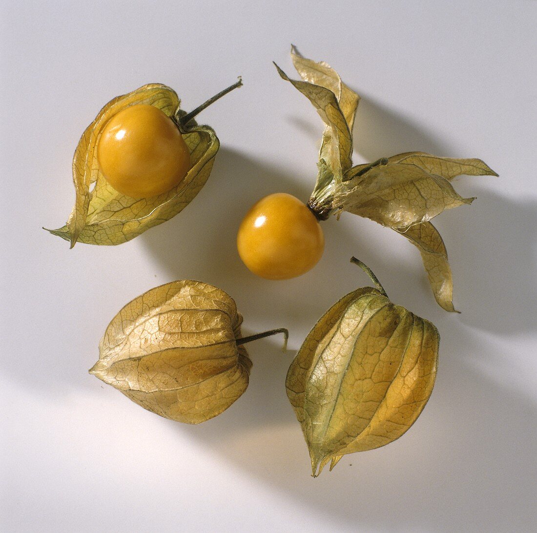 Four Cape Gooseberries