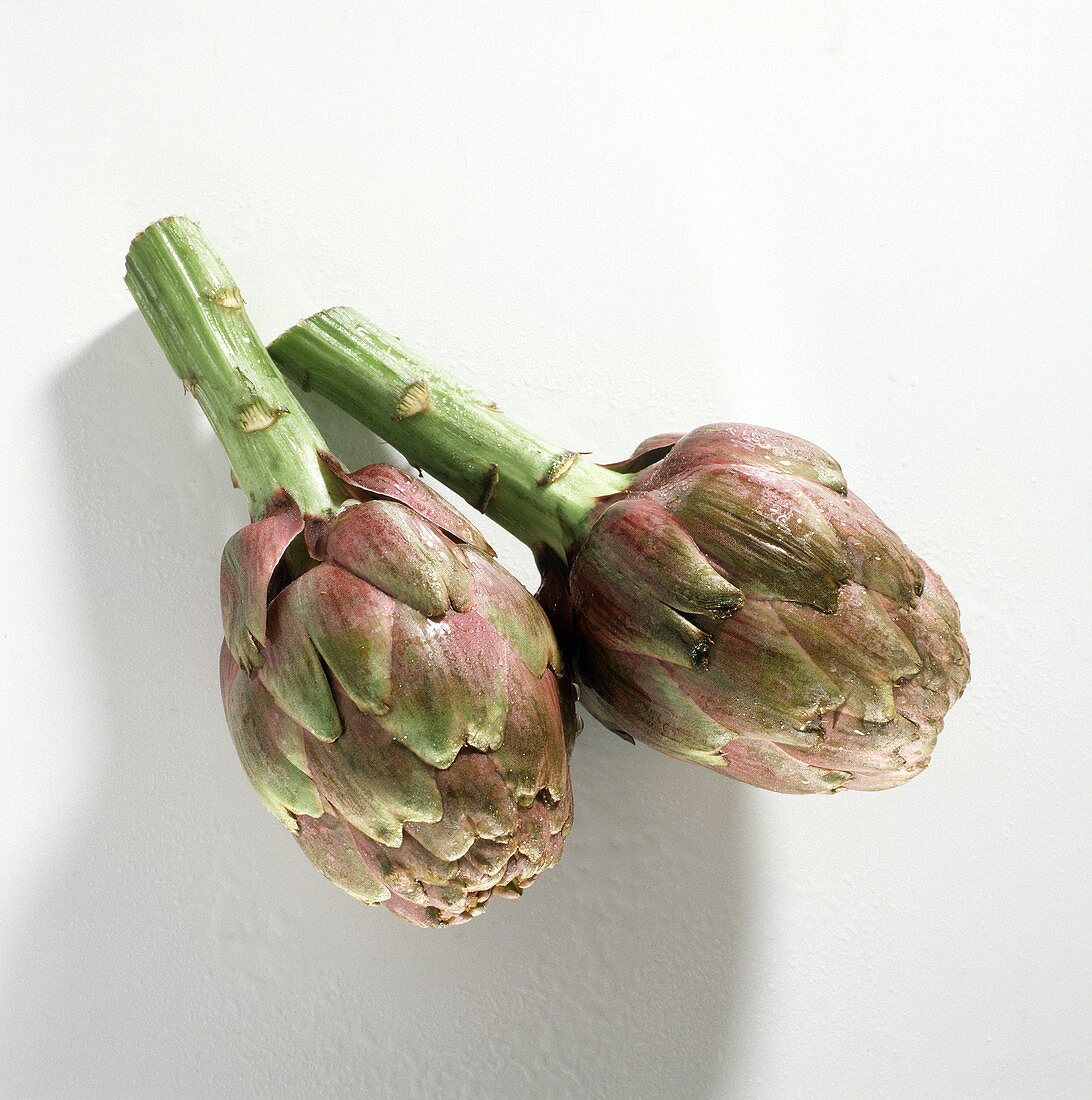 Two artichokes with drops of water