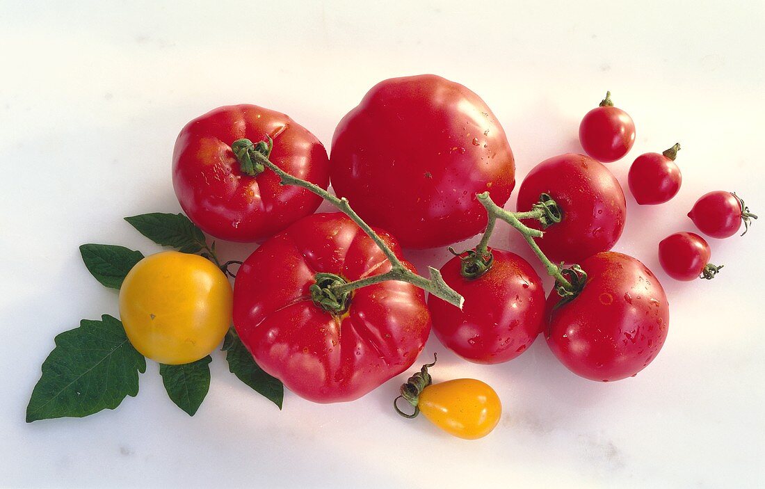 Various red and two yellow tomatoes