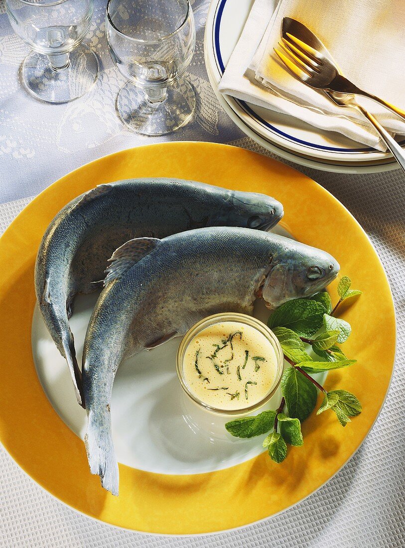 Forelle blau mit Butter-Eier-Sauce & Minzezweigen