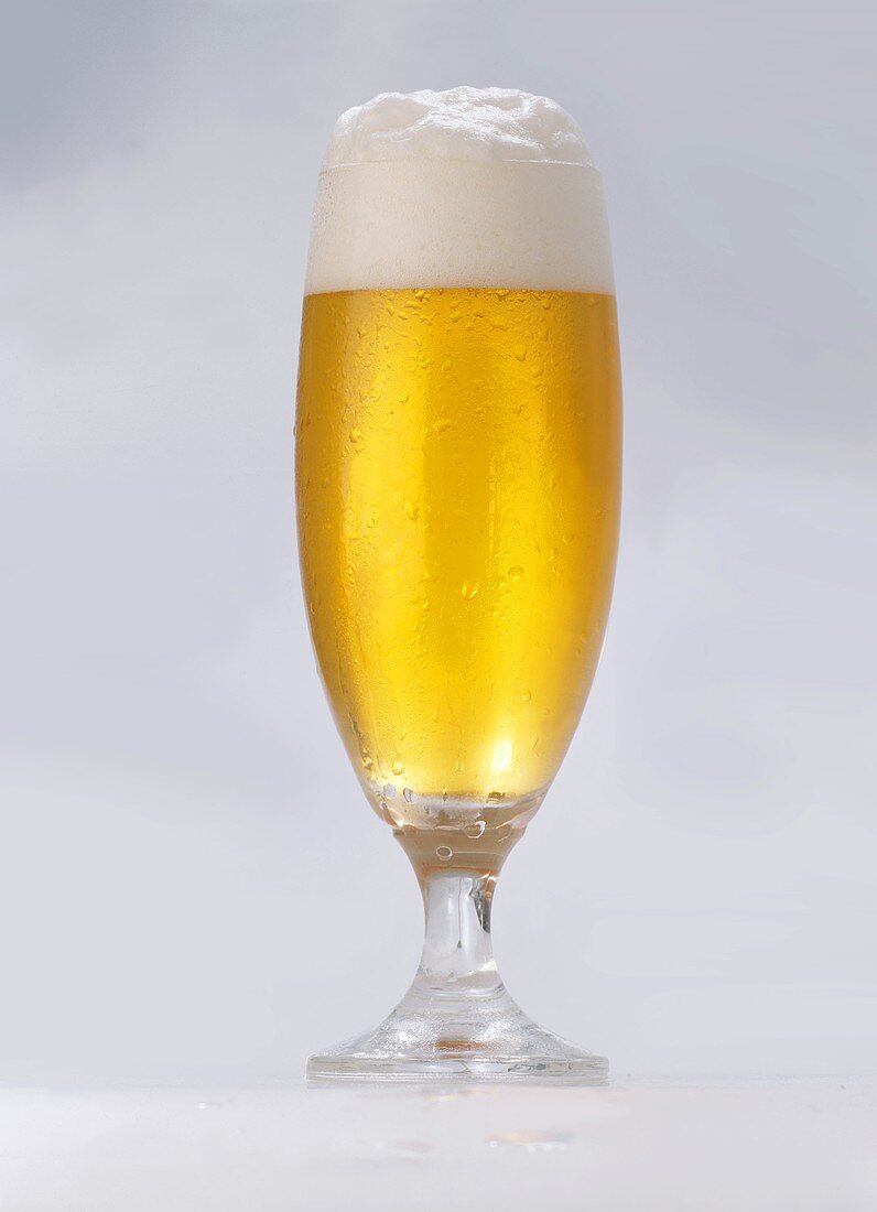 Stem Glass of Beer