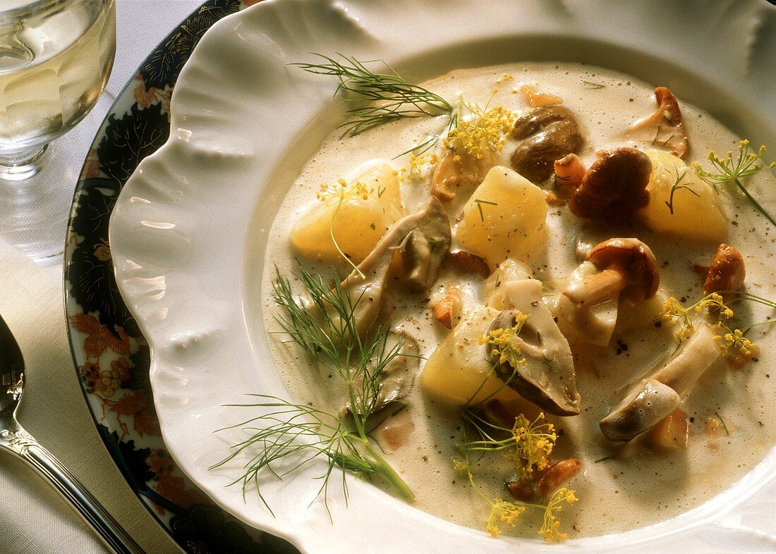 Böhmischer Pilzeintopf mit Kartoffeln & Dill in Sahnesauce