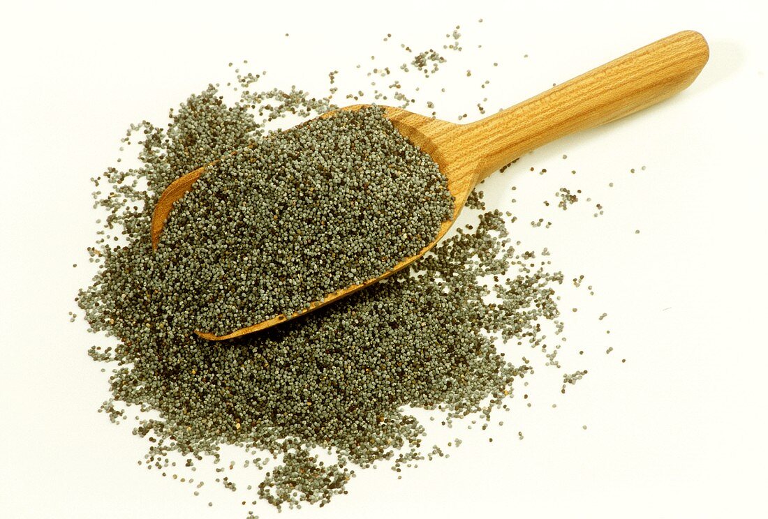 Poppy Seeds with Wooden Scoop