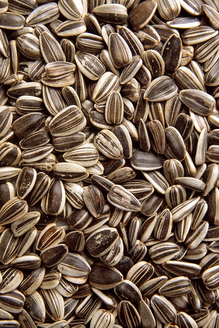 Sunflower Seeds