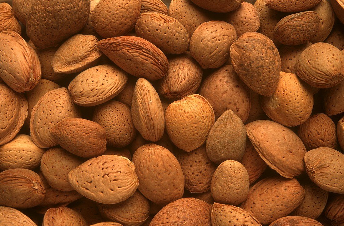 Several Fresh Almonds