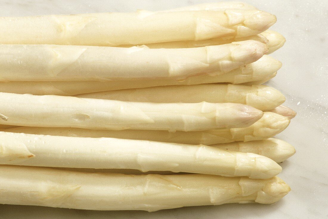 White Asparagus