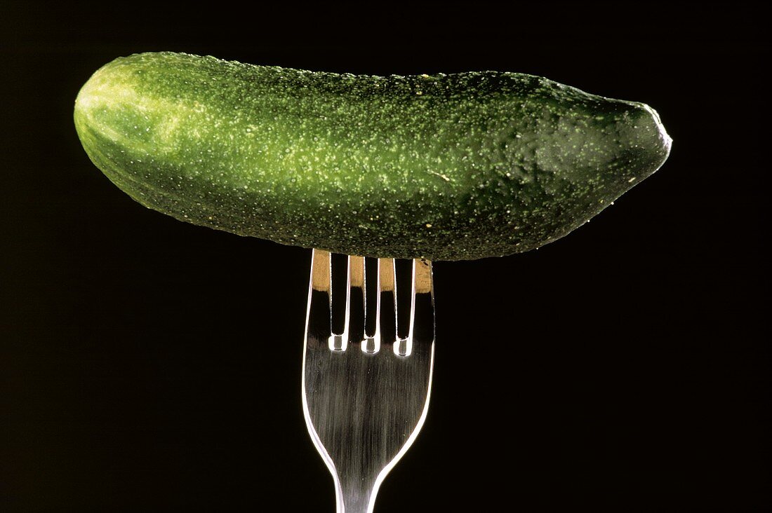 One Cucumber on a Fork