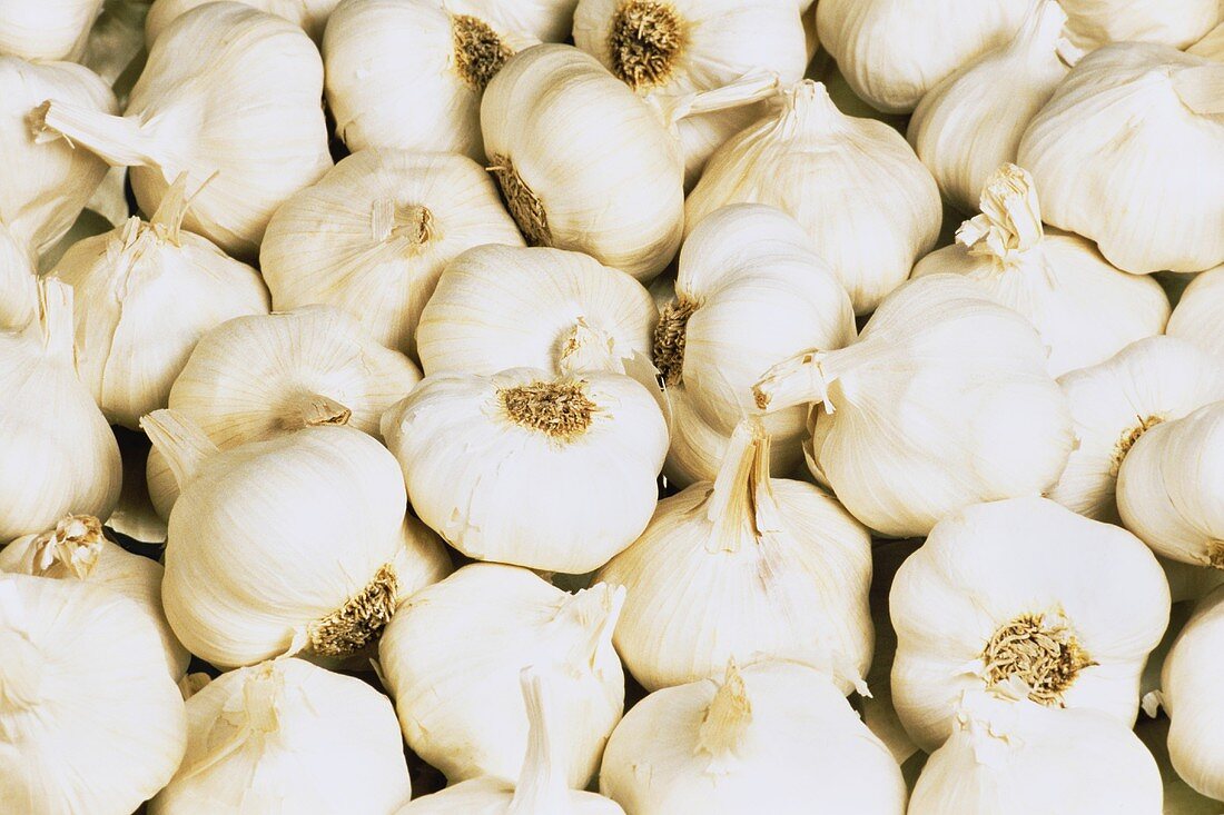 Many Bulbs of Garlic