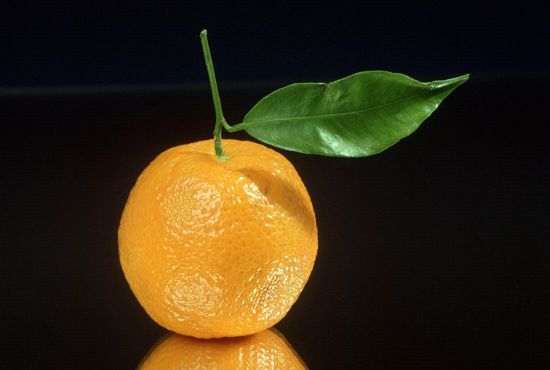 Einzelne Orange mit Stiel & grünem Blatt