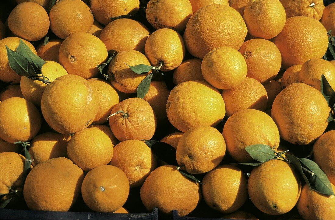 Viele Orangen am Marktstand