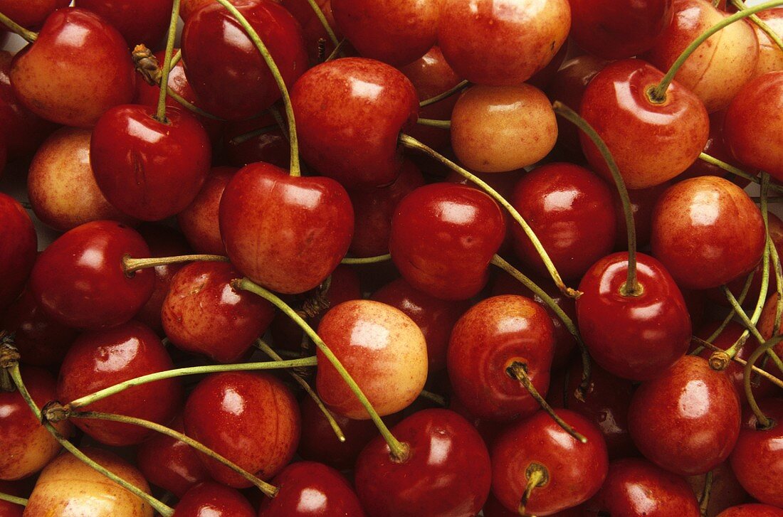 Several Red and White Cherries