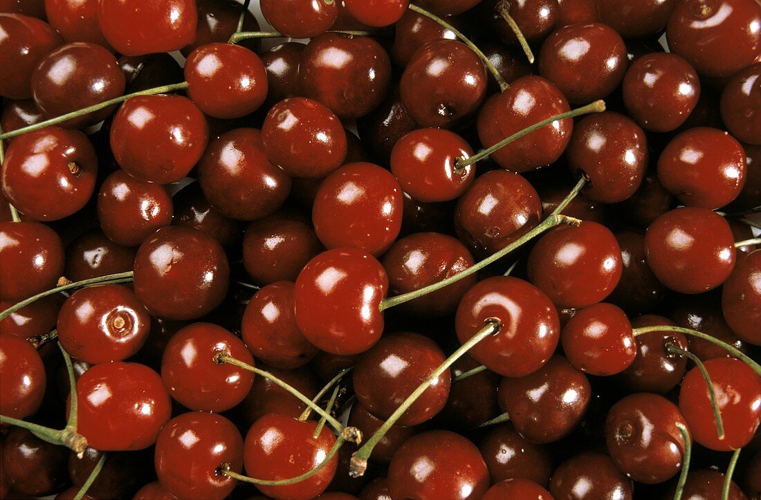 Many Red Cherries