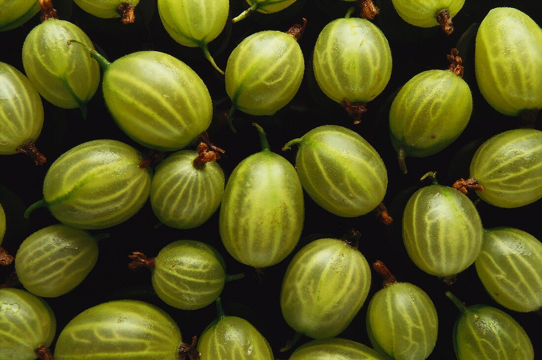 Several Gooseberries on a Black Background