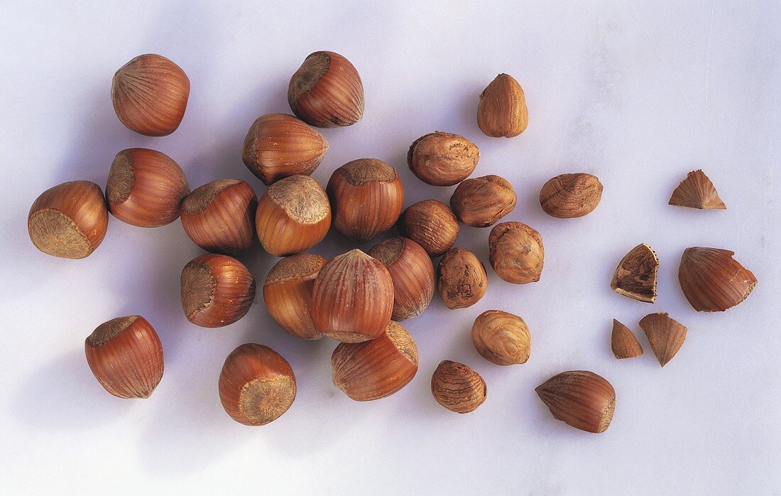 Several hazelnuts with & without shell & pieces of shell