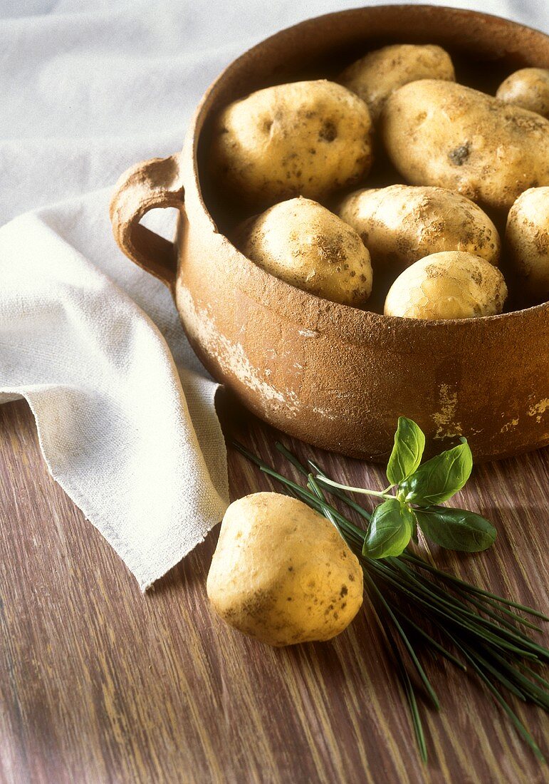 Kartoffeln in Tontopf & einzelne Kartoffel mit Kräutern