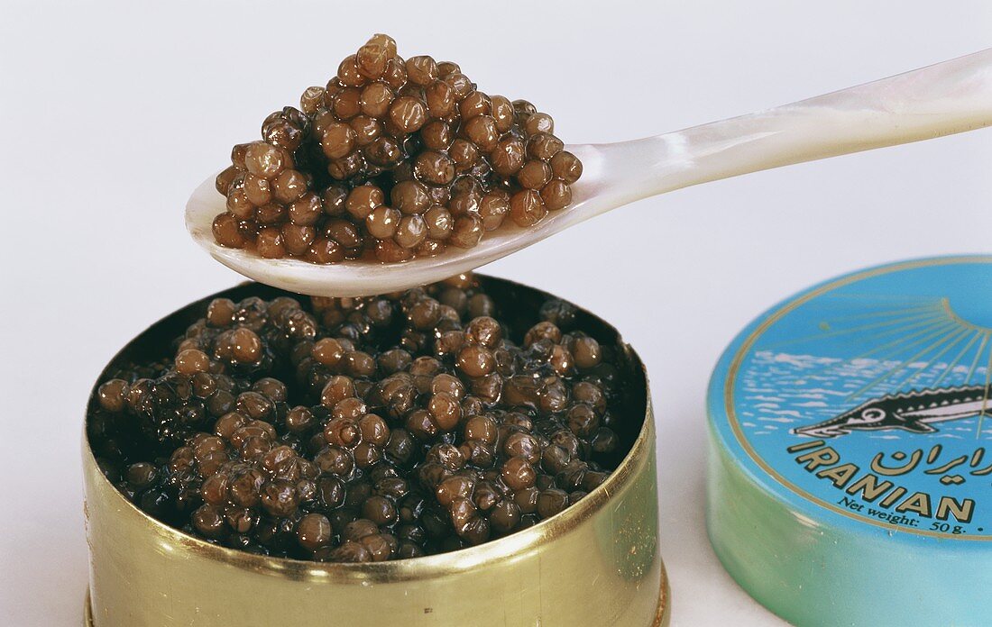 Black caviar on mother-of-pearl spoon over tin