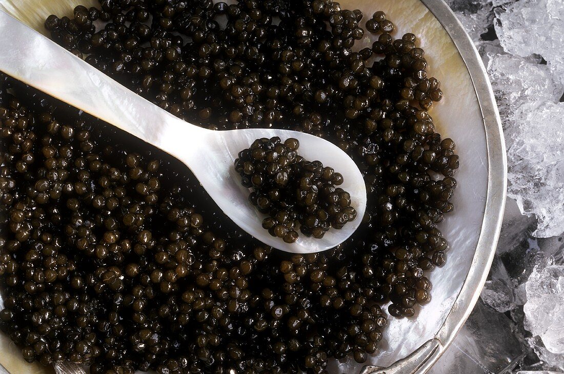Schwarzer Kaviar auf Perlmutt-Teller mit Löffel