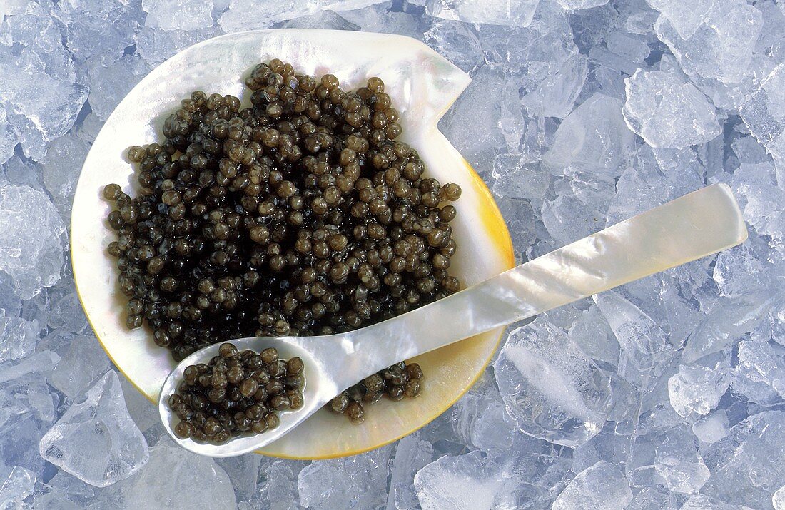 Schwarzer Kaviar in Perlmuttschale mit Löffel auf Eiswürfeln
