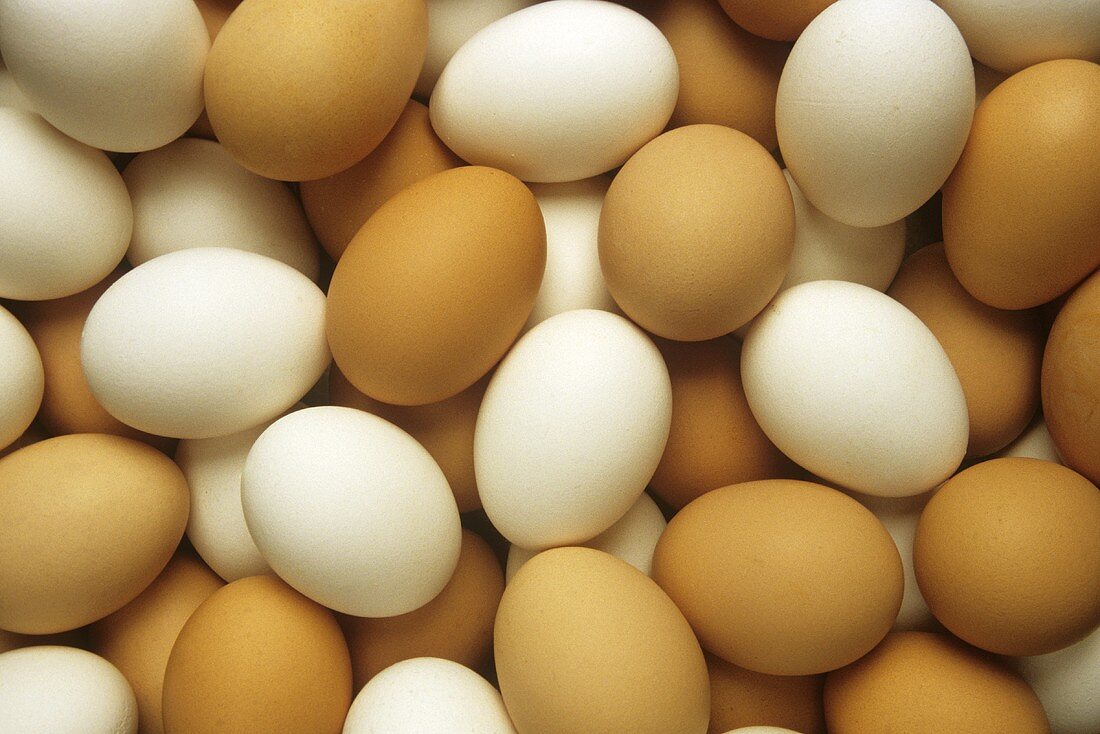 Brown and White Eggs