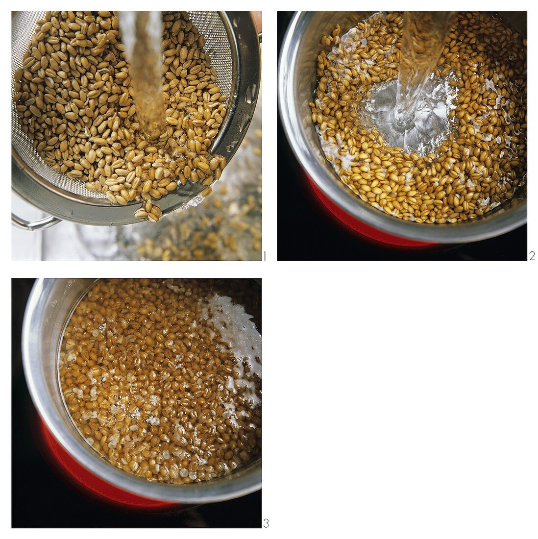 Cooking wheat grains