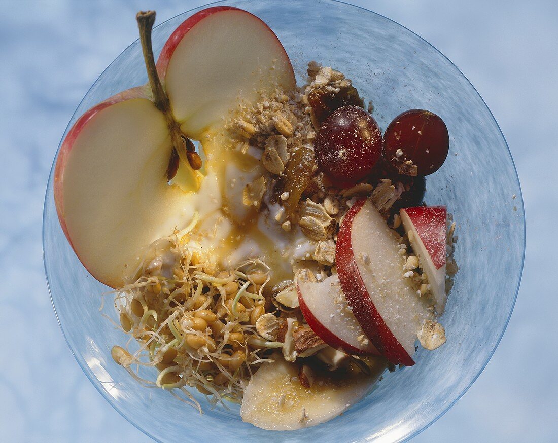 Frischkornmüsli mit Weizenkeimen, Haselnüssen, Obst & Joghurt