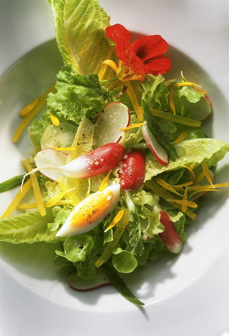 Sommer-Salat mit Radieschen, Eiern & Blütenblättern