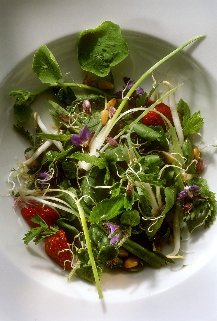 Frühling-Salat aus Wildkräutern, Sprossen, Erdbeeren