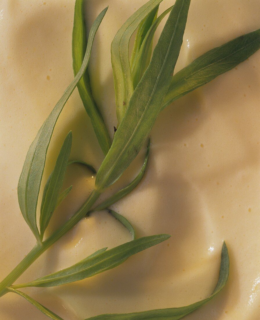 Sauce bearnaise with tarragon sprig (close-up)