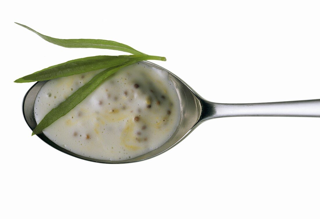 Mustard sauce with sprig of tarragon on spoon
