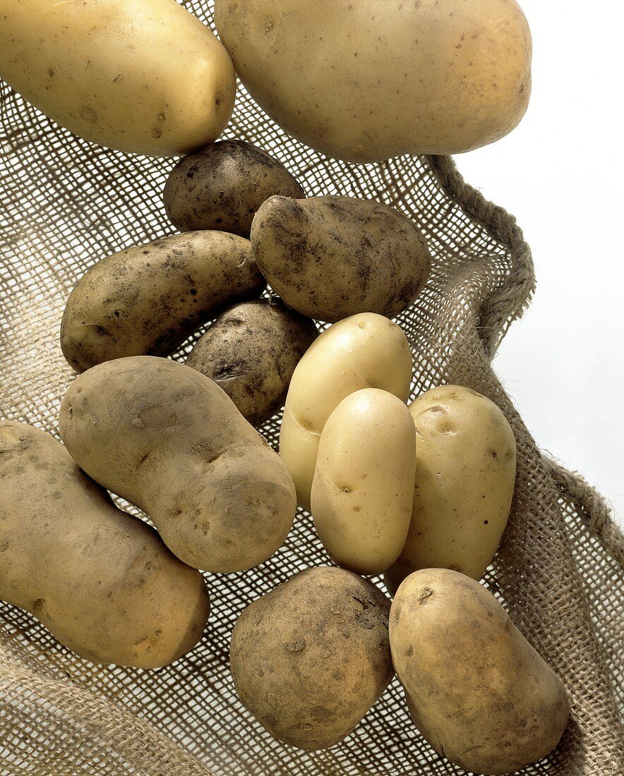 Mehrere verschiedene Kartoffelsorten auf Juteuntergrund