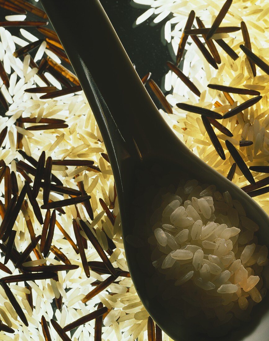 Several types of rice on glass, short-grain rice in spoon