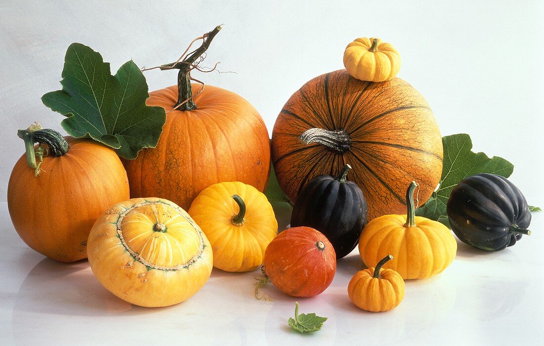 Several types of pumpkin
