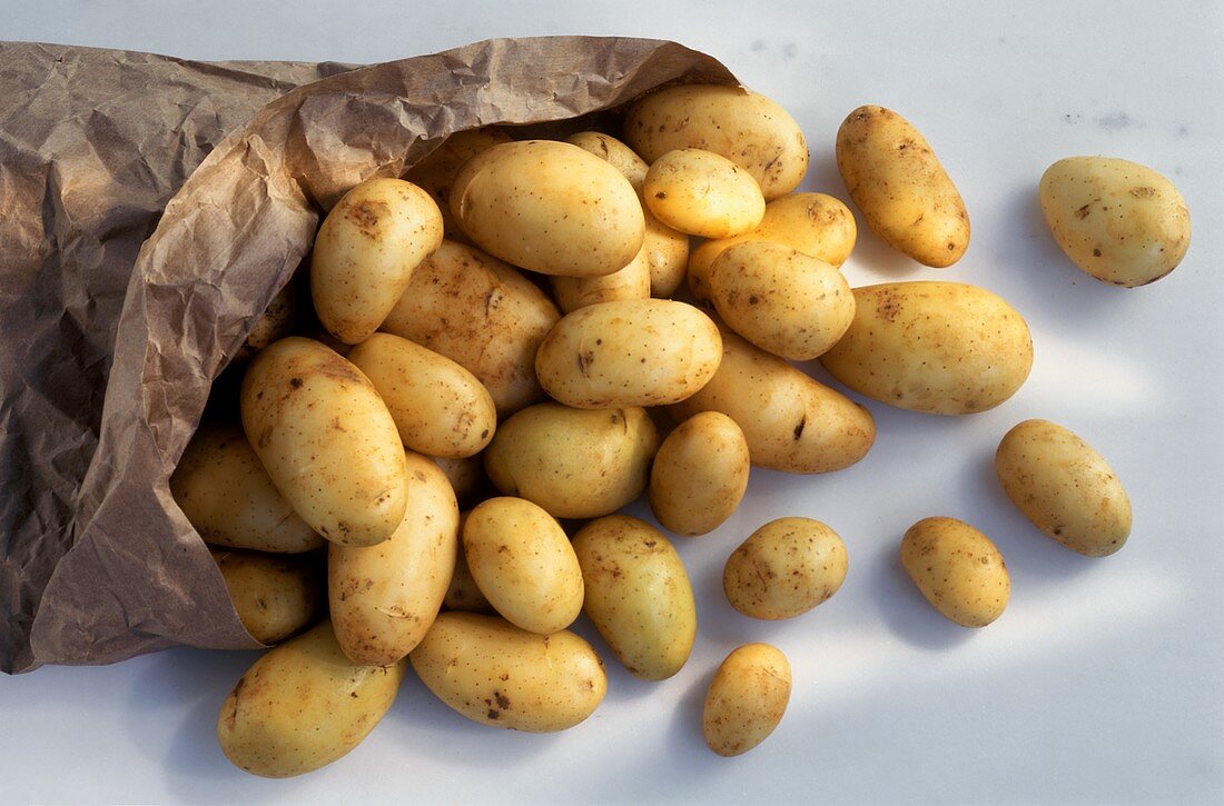 Frühkartoffeln in Papiertüte