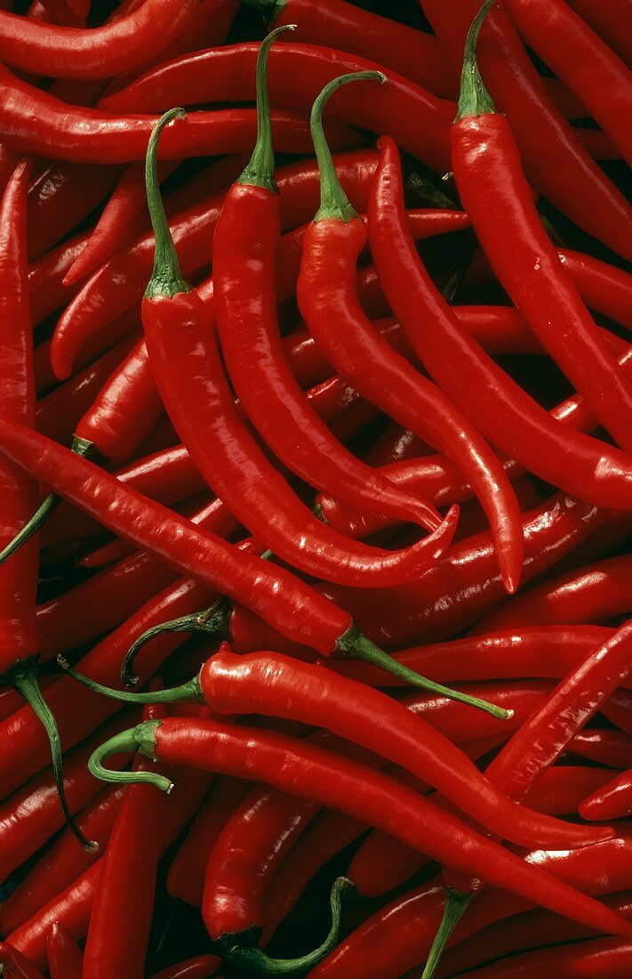 Red Thai Chilies