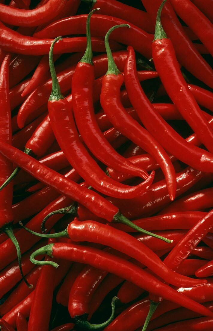 Viele rote Chilischoten (Thai red)