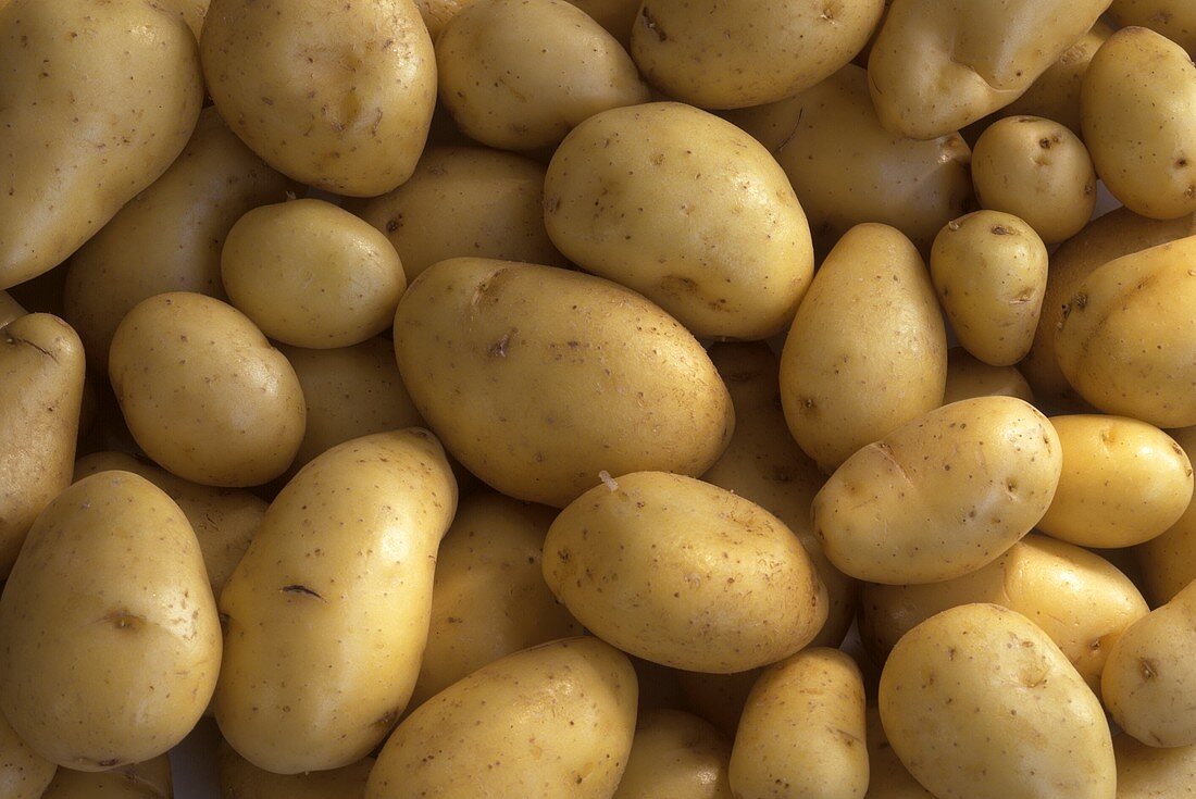 Kartoffeln (italienische Frühkartoffeln)