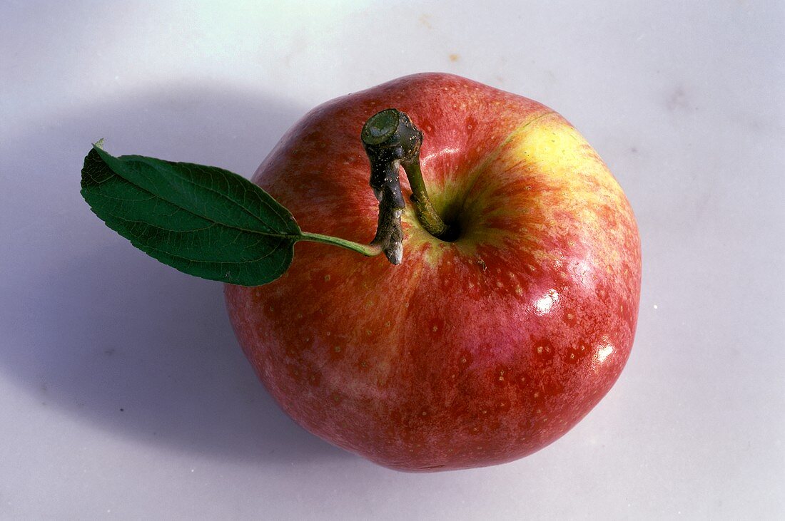 A Single Gala Apple