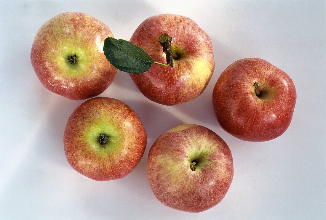 Fünf rote Äpfel (Royal Gala), einer mit Blatt