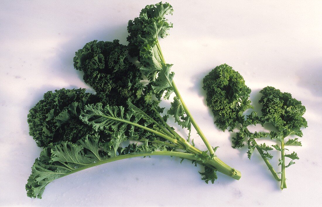 Kale on light background