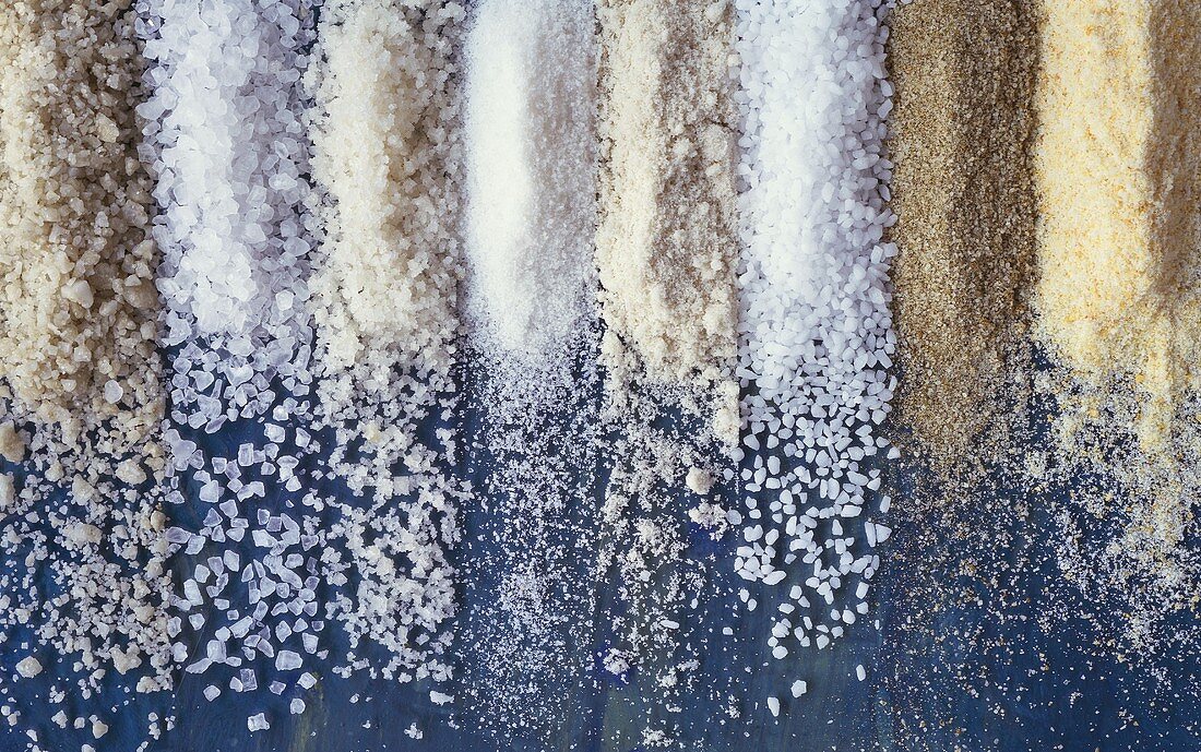 Verschiedene Salz- & Meersalzsorten, in Streifen aufgestreut