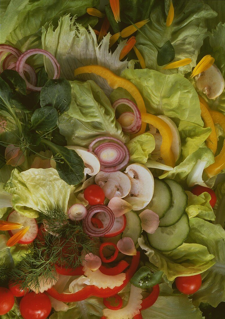 Salad leaves with chopped vegetables, mushrooms, herbs