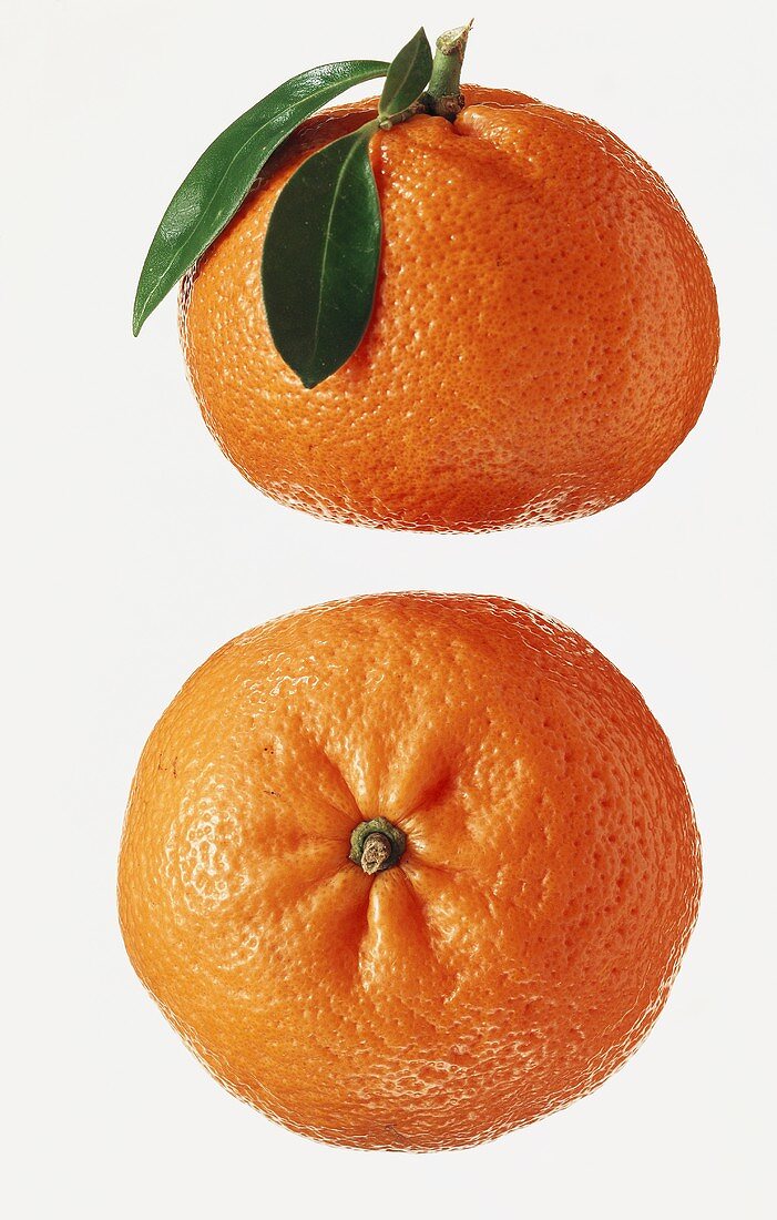 Two mandarin oranges, one with leaves on stalk