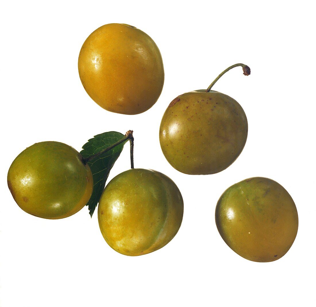 Five Yellow Plums