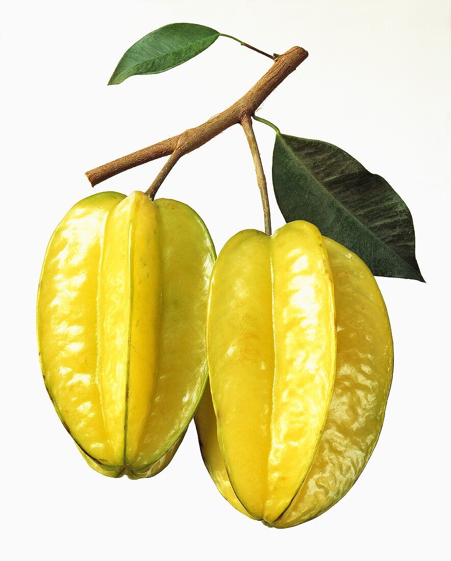 Two Star Fruit with Branch