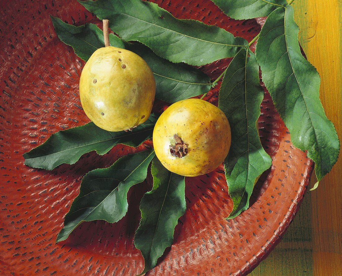 Zwei Guaven auf Blättern auf einem Teller