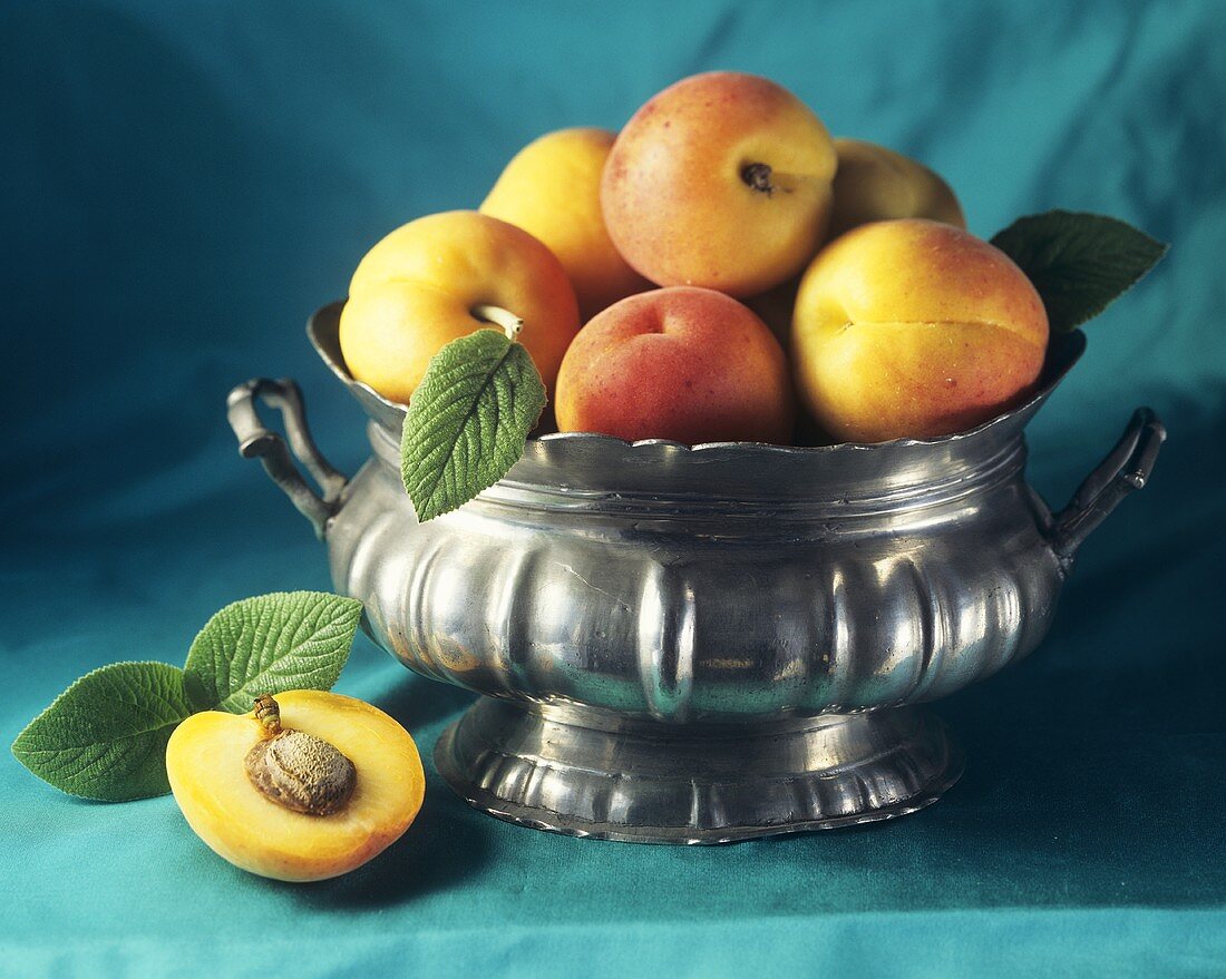 A Bowl Full of Apricots