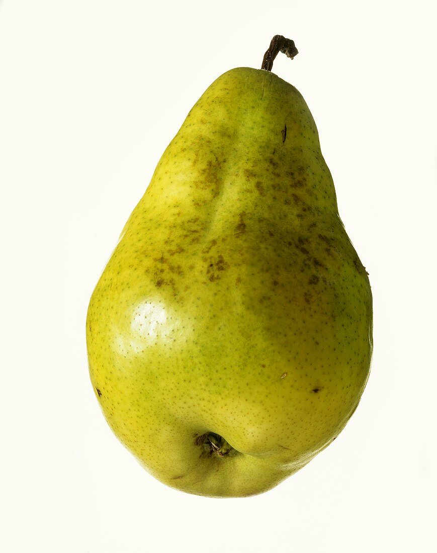 A yellowy-green pear with stalk (variety: Dr. Jules Gunot)