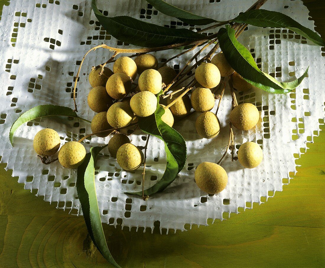 Branches with longan fruits