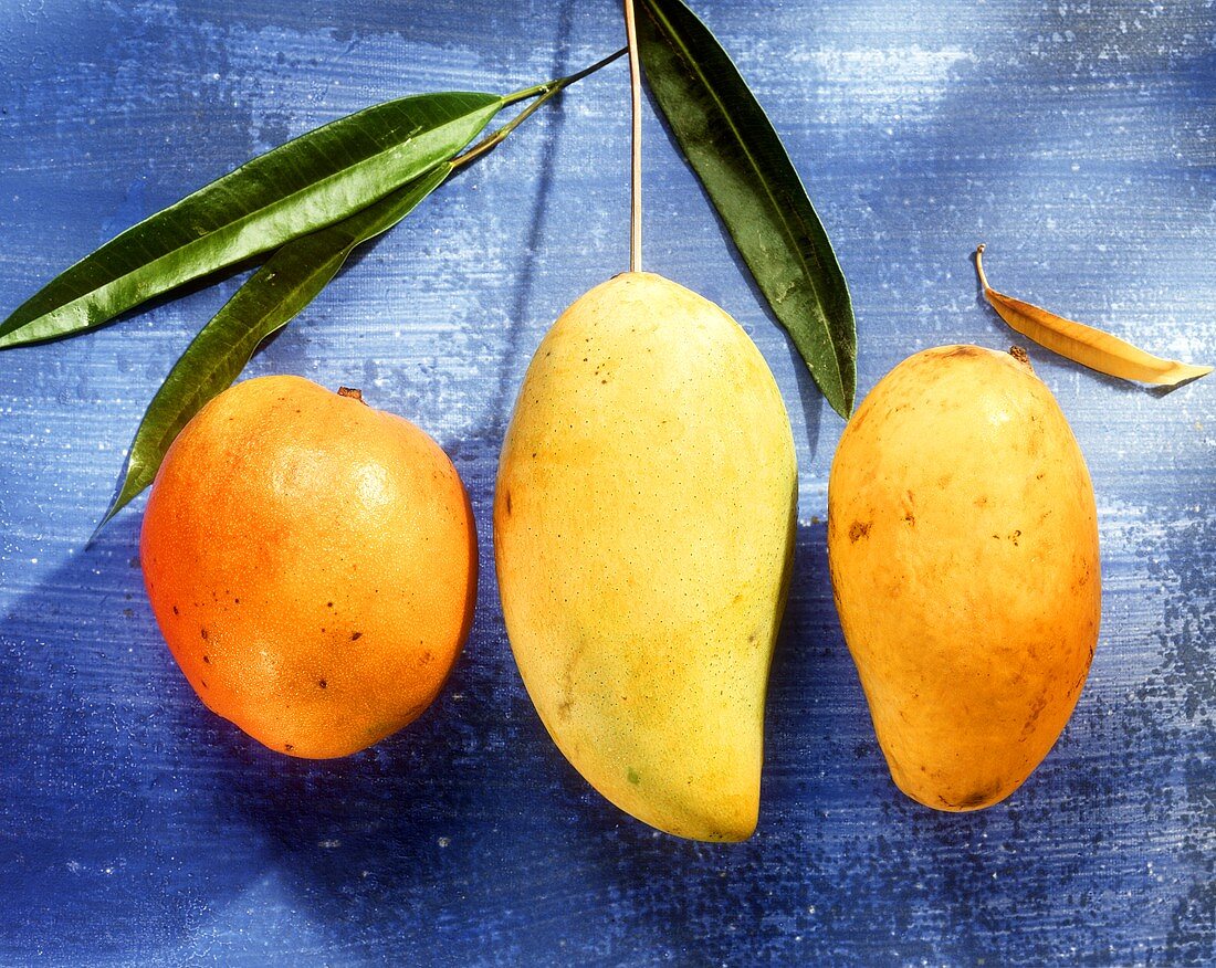 Three Fresh Mango